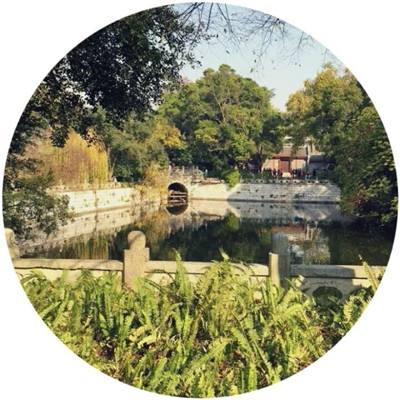 三国志海量版手游下载